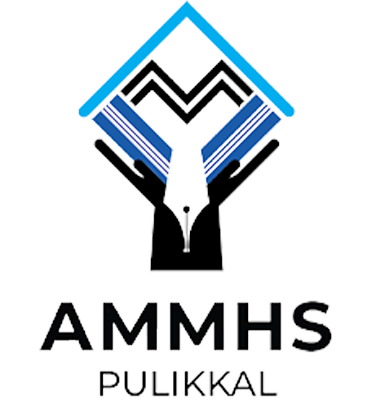 Web & app development services in calicut,kerala,india