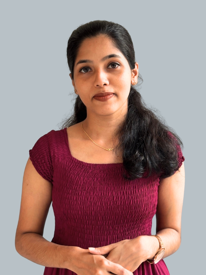 Development Team Member - Accountant